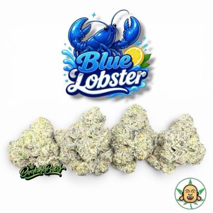 Blue Lobster