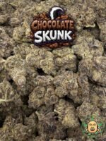 Chocolate Skunk