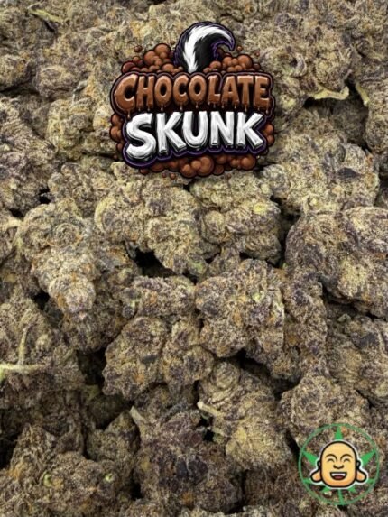 Chocolate Skunk