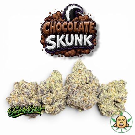 Chocolate Skunk