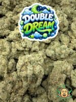 Double Dream