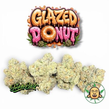 Glazed Donut