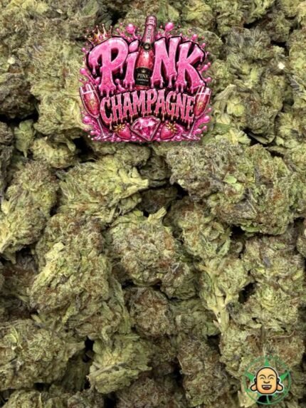 Pink Champagne