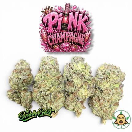 Pink Champagne