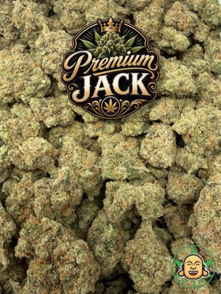 Premium Jack