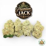 Premium Jack