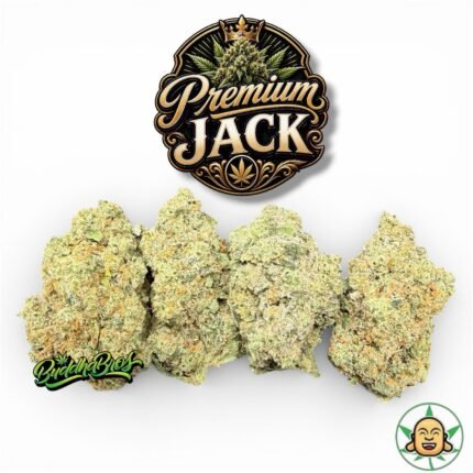 Premium Jack