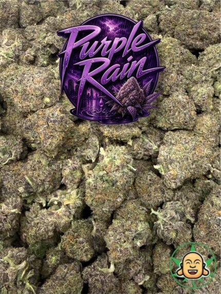 Purple Rain