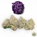 Purple Rain