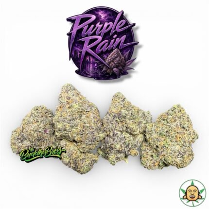 Purple Rain