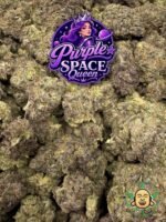 Purple Space Queen