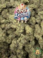 Tres Leches