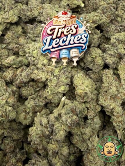 Tres Leches