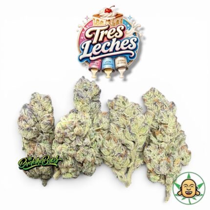 Tres Leches