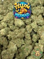 Yellow Mermaid